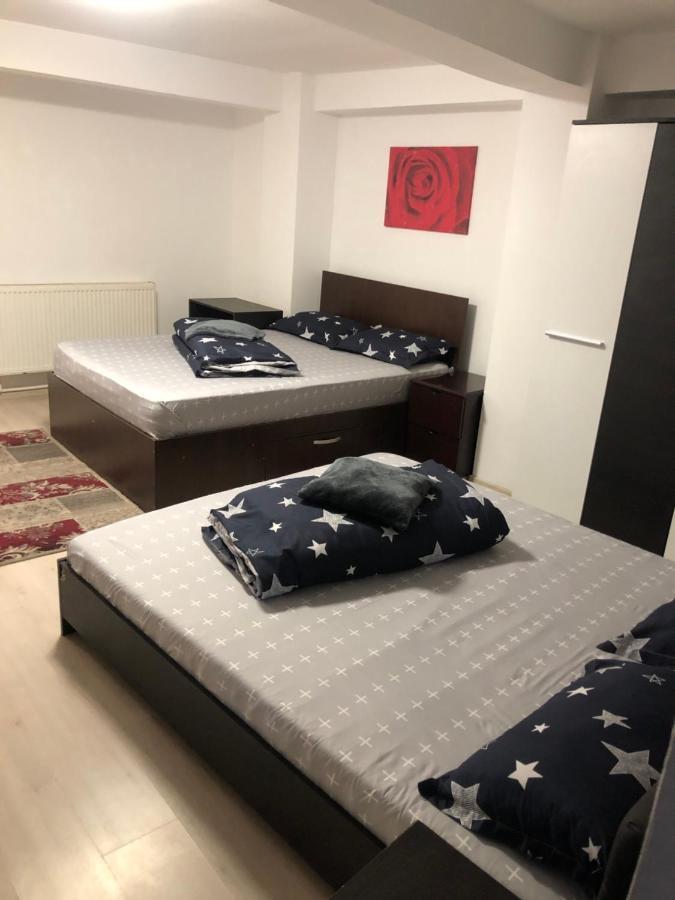Hostel Mialma 奥内什蒂 外观 照片